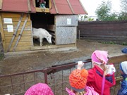 Výlet do svíčkárny Šestajovice